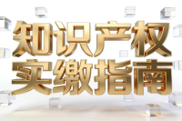 知识产权实缴注册资金流程